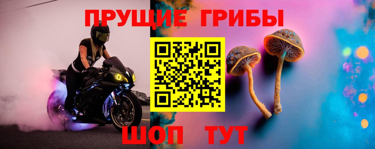 Фрязино  Галлюциногенные грибы мухоморы  Вход с VPN  Псилоцибиновые грибы Psilocybe 